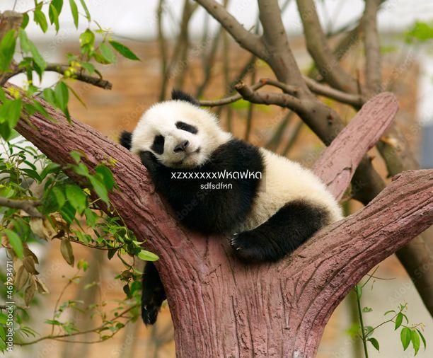 รูป TestwatermarkไทยTestwatermarkไทยTestwatermarkไทย - รูปที่ 1/5